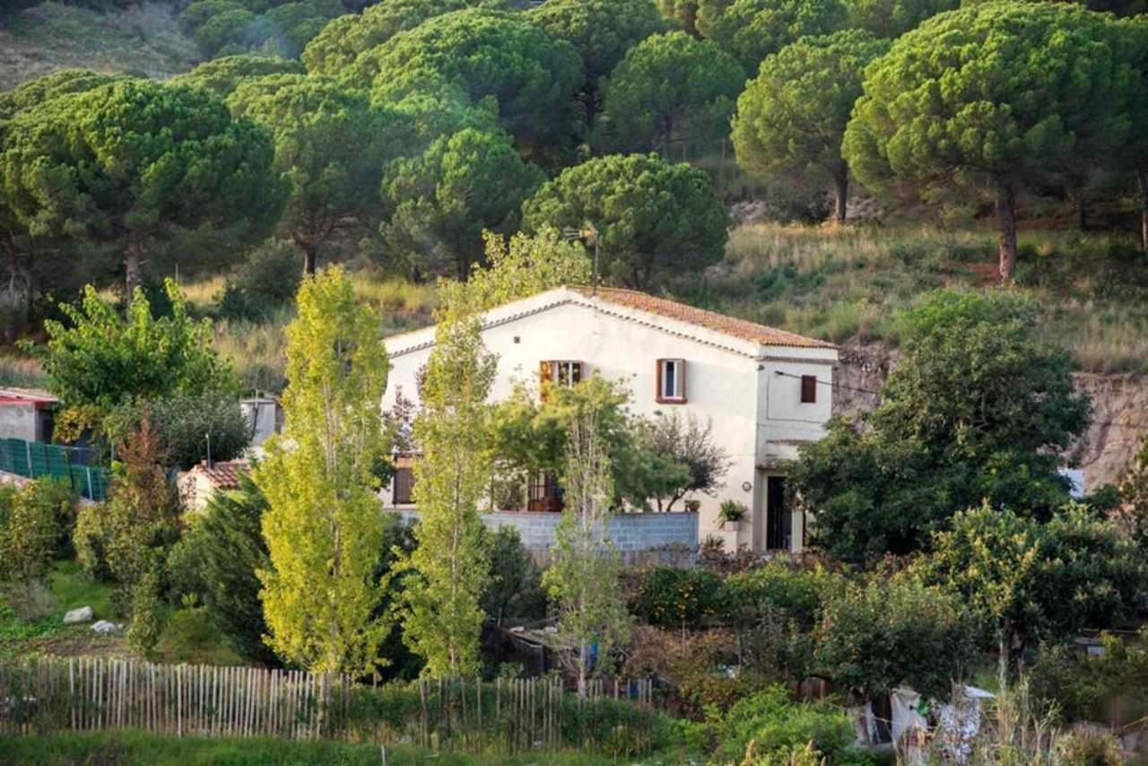 Masia Can Tramontana Guest House Tiana Exterior foto